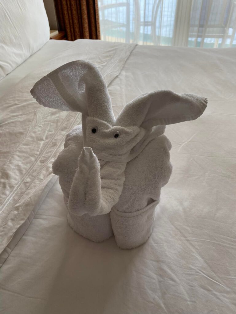 Towels are not something you should pack on a cruise.