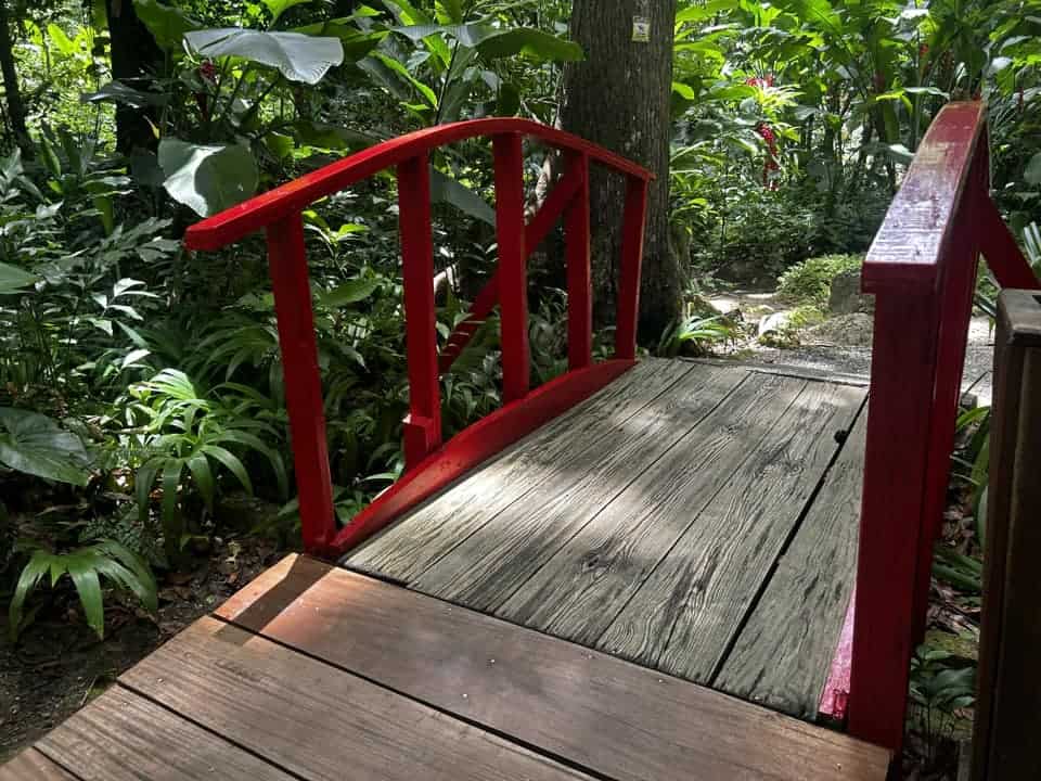 a red wooden bridge in the rainforest of St. Lucia.