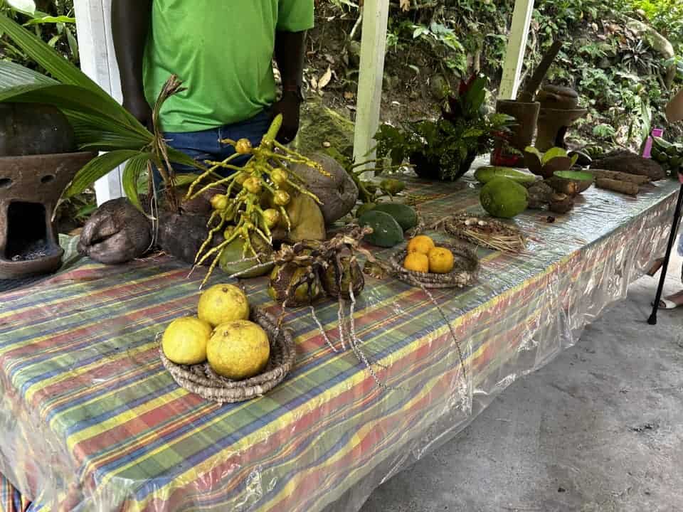 a table full of a variety of foods and plant life native to St. Lucia.