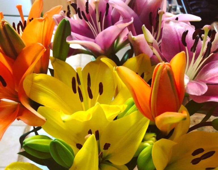 a bouquet of colorful lillies