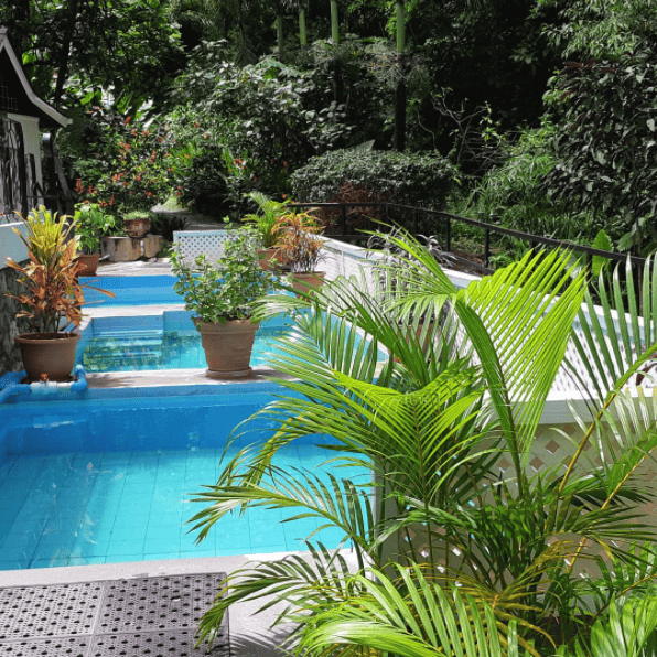 the hot springs fed public baths in St. Lucia