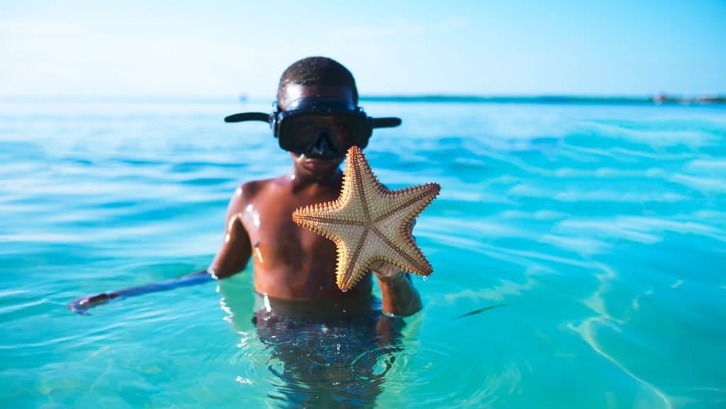 a boy snorkeling and holding up a starfish