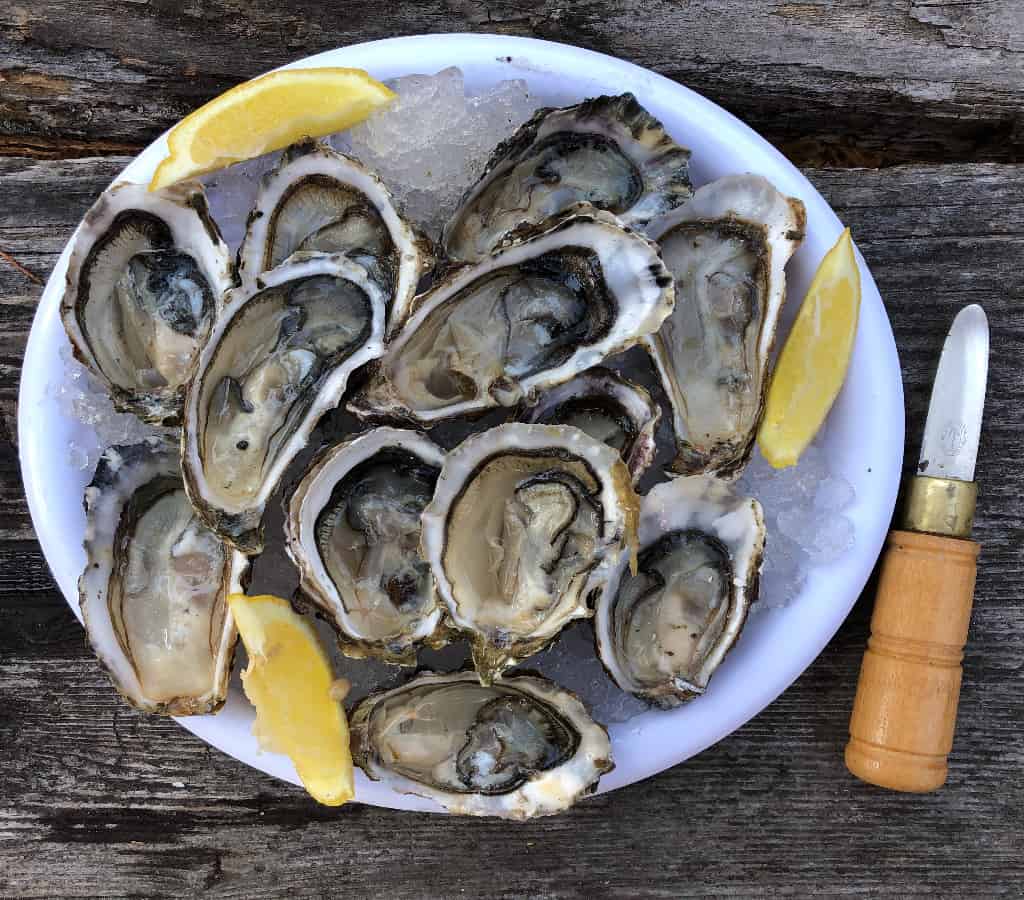 oysters from the best Boston food tours