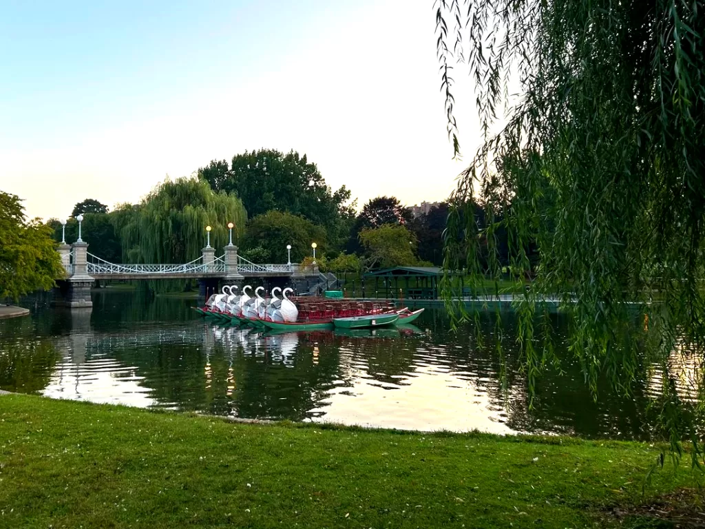 Sawn Boats on water in Boston