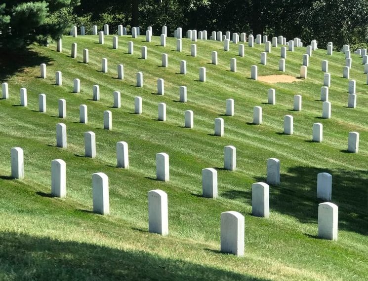 rows of white graves at Arlington National Cemetery