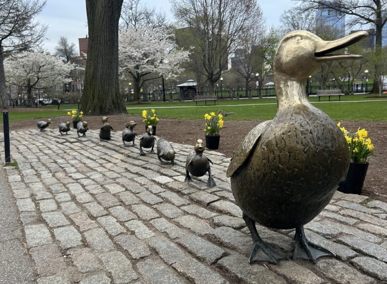 the best time to visit Boston is May - October